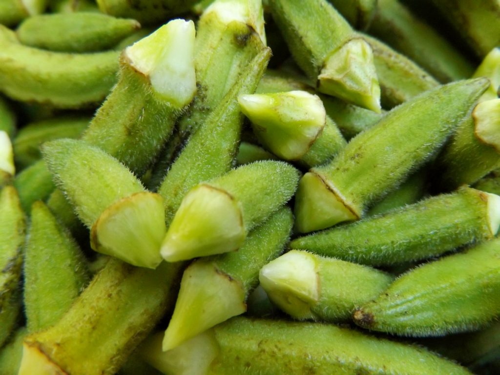 Okra-Schoten an Tomaten und Olivenöl - Bamies - Cooking Rhythms Okra ... Okra-Schoten an Tomaten und Olivenöl - Bamies - Cooking Rhythms Okra ...